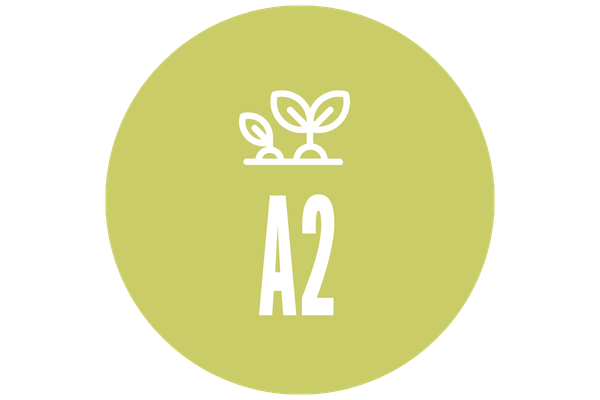 Débutants