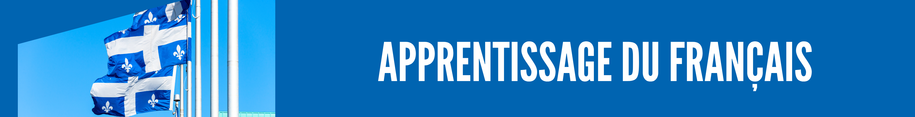 Section apprentissage du français