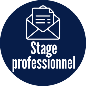Candidature à un stage professionnel